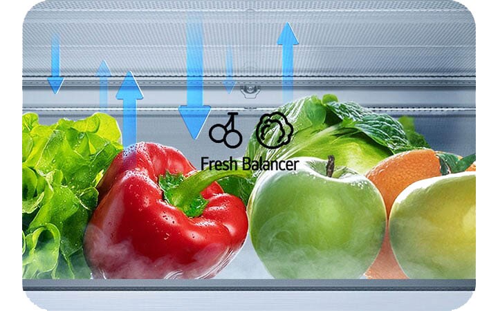 LG hladnjak s donjim zamrzivačem i ladicom FRESH Balancer™ koja prikazuje kretanje vlage.