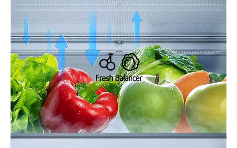 LG hladnjak s donjim zamrzivačem i ladicom FRESH Balancer™ koja prikazuje kretanje vlage.