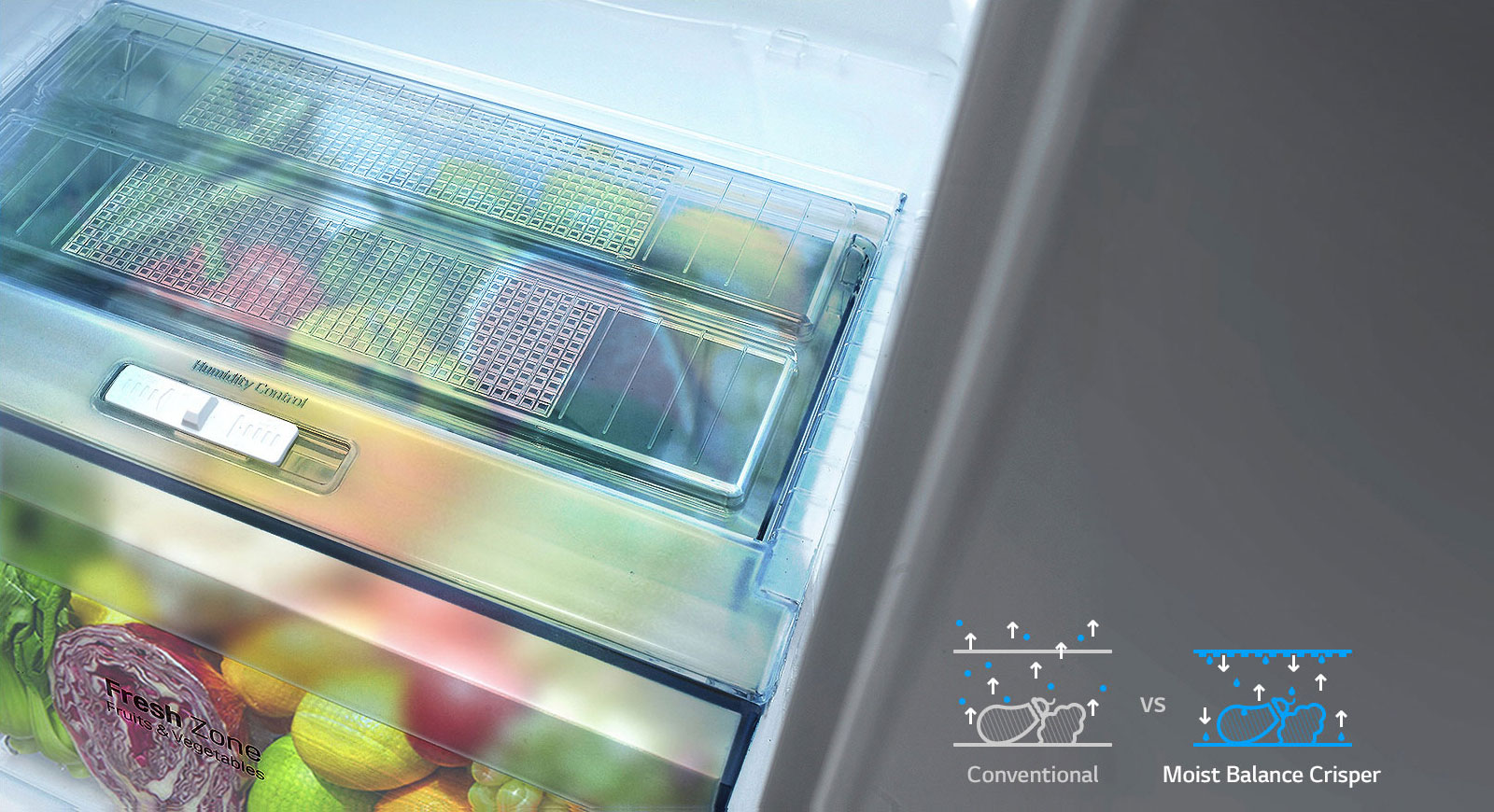 Moist Balance Crisper1
