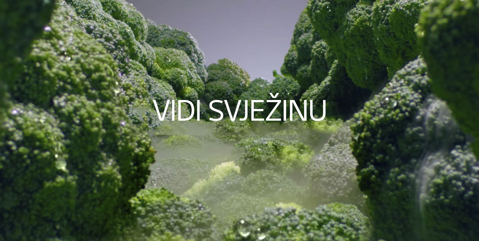 VIDI SVJEŽINU, POMIRIŠI SVJEŽINU, OKUSI SVJEŽINU