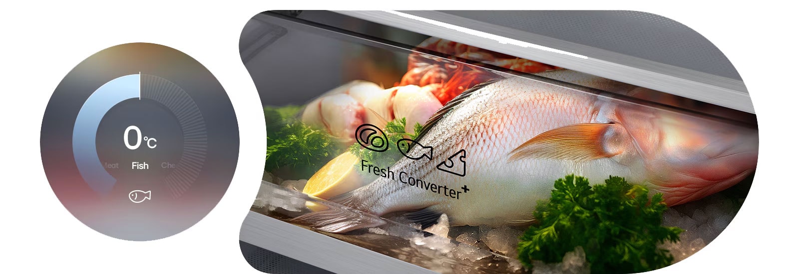 Grafika LG donjeg zamrzivača s kružnim dijagramom koji prikazuje 0°C s lijeve strane i svježu ribu pohranjenu u kutiji Fresh Converter s desne strane