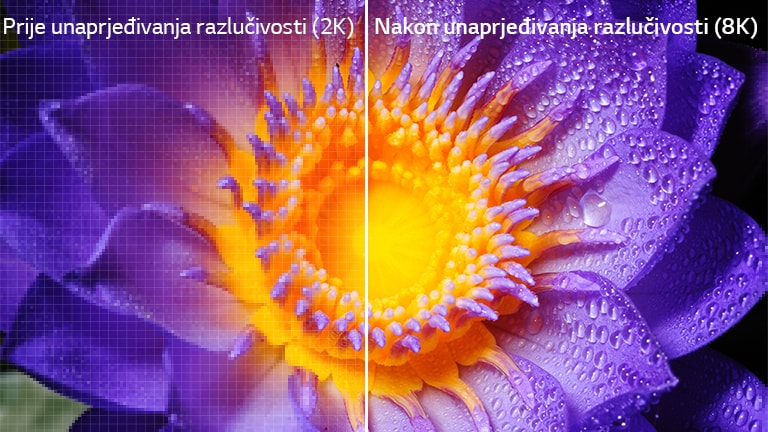 Slika rože v prvotni definiciji 2K na levi in ​​povečana na 8K na desni.