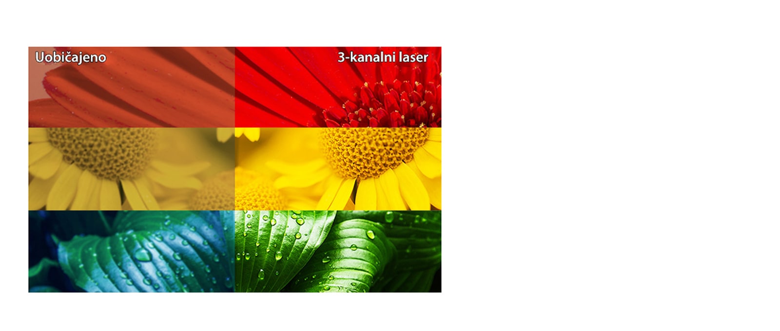 Ultimativna preciznost boja1