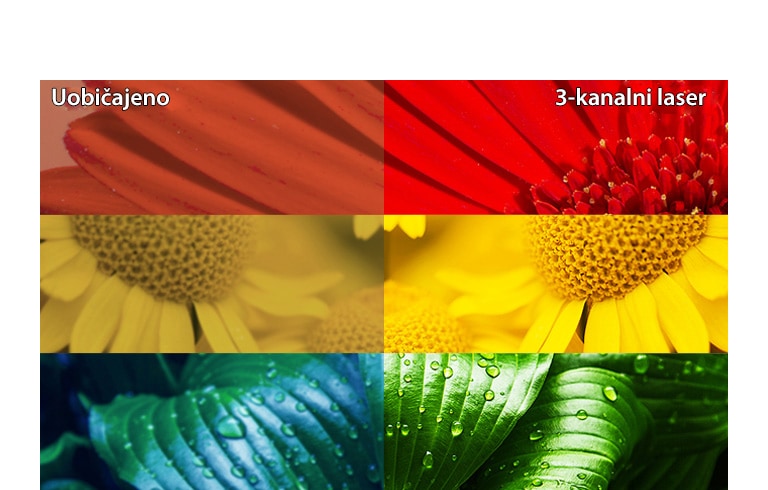 Ultimativna preciznost boja2