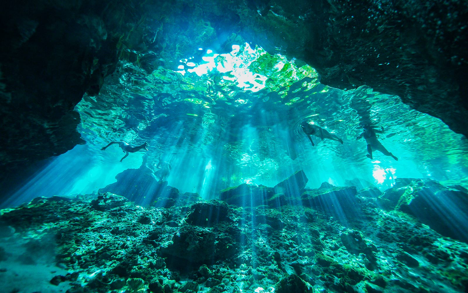 Podvodni prizor, osvetljen s svetlobnimi žarki, ki prodirajo v vodo (predvajaj video).