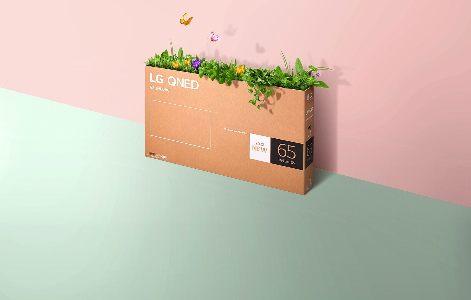 Embalažna škatla za QNED je postavljena na roza, zeleno ozadje, trava raste, iz škatle pa prihajajo metulji.