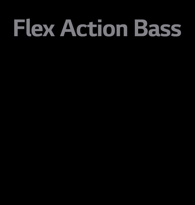 Tekst „Flex Action Bass”