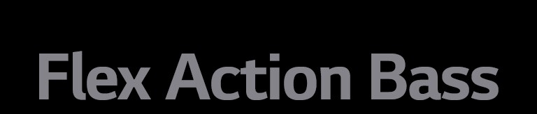Tekst „Flex Action Bass”