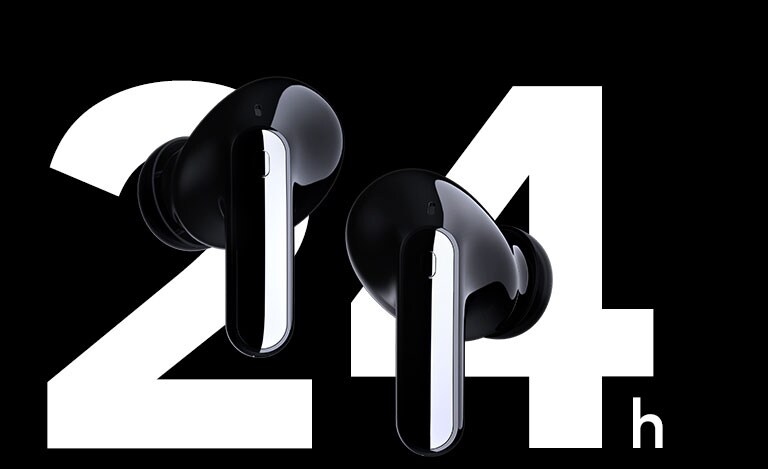 Čitav dan reprodukcije