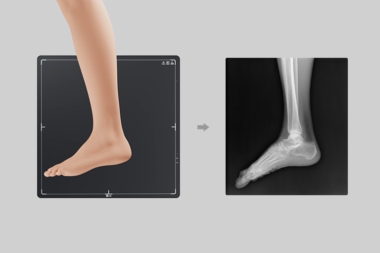 Visoka brzina prijenosa za kompletne slike.