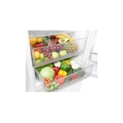 LG Total No Frost hladnjak visine 200cm sa zamrzivačem u donjem dijelu i 10 godišnjim jamstvom, GBB60SWGFS, thumbnail 8