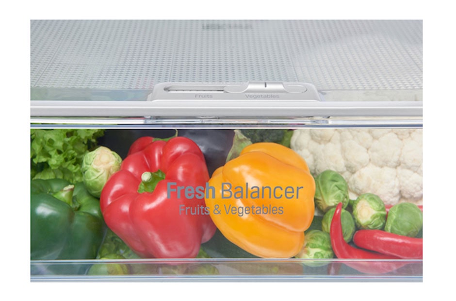 LG TOTAL NO FROST HLADNJAK S LEDENICOM DOLJE, PREKLOPNOM POLICOM I NATUREFRESH FUNKCIJAMA, GBB60PZGFB, thumbnail 13