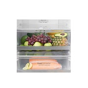 LG TOTAL NO FROST HLADNJAK S LEDENICOM DOLJE, PREKLOPNOM POLICOM I NATUREFRESH FUNKCIJAMA, GBB60PZGFB, thumbnail 14