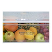 LG TOTAL NO FROST HLADNJAK S LEDENICOM DOLJE I S WIFI FUNKCIJOM, GBF59PZFZB, thumbnail 13