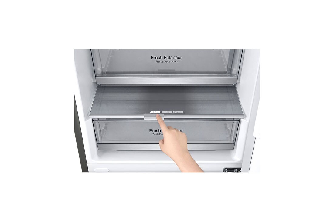 LG Hladnjak sa zamrzivačem u donjem dijelu, DoorCooling⁺™ i ThinQ™ tehnologija, kapacitet 384L, GBB72PZDZN, thumbnail 11