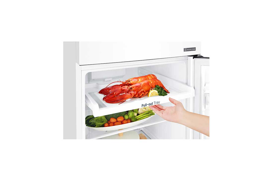 LG Hladnjak s ledenicom na vrhu, F energetskog razreda i kapacitetom od 254 L, GTB362SHCZD, thumbnail 6