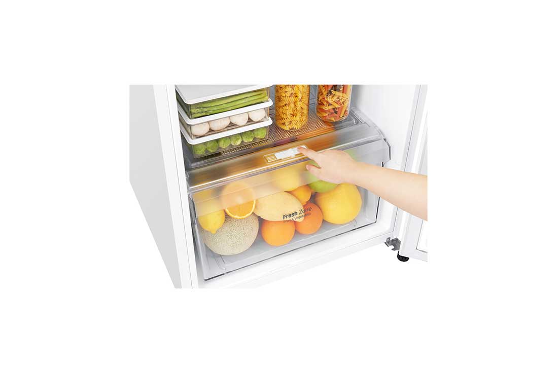 LG Hladnjak s ledenicom na vrhu, F energetskog razreda i kapacitetom od 254 L, GTB362SHCZD, thumbnail 7