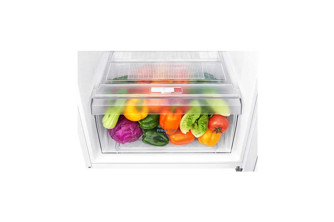 LG Hladnjak s ledenicom na vrhu, F energetskog razreda i kapacitetom od 254 L, GTB362SHCZD, thumbnail 8