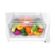 LG Hladnjak s ledenicom na vrhu, F energetskog razreda i kapacitetom od 254 L, GTB362SHCZD, thumbnail 8