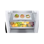 LG Hladnjak sa zamrzivačem u donjem dijelu, DoorCooling⁺™ tehnologija, kapacitet 384L, GBB72MCVGN, GBB72MCVGN, thumbnail 6