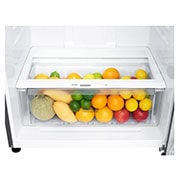 LG Hladnjak sa zamrzivačem u gornjem dijelu, DoorCooling+™ i ThinQ™ tehnologija, kapacitet 509L, Otvorena lijeva vrata bez pogleda na hranu, GTF744PZPED, thumbnail 10