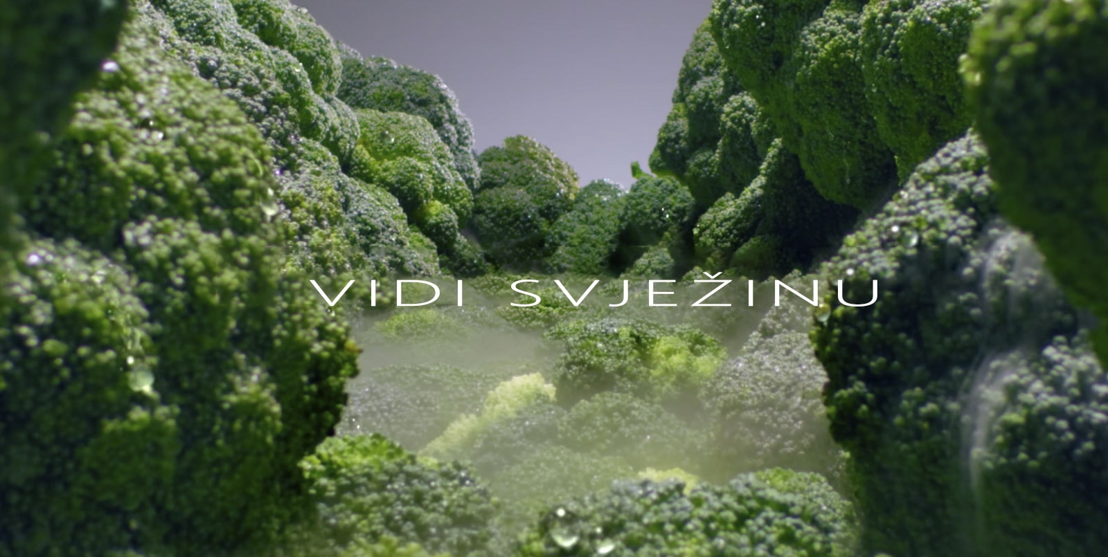 HR-REF-Omega2-Disp-PlatinumSilver3-02-2-LINEARCooling-Desktop_v3