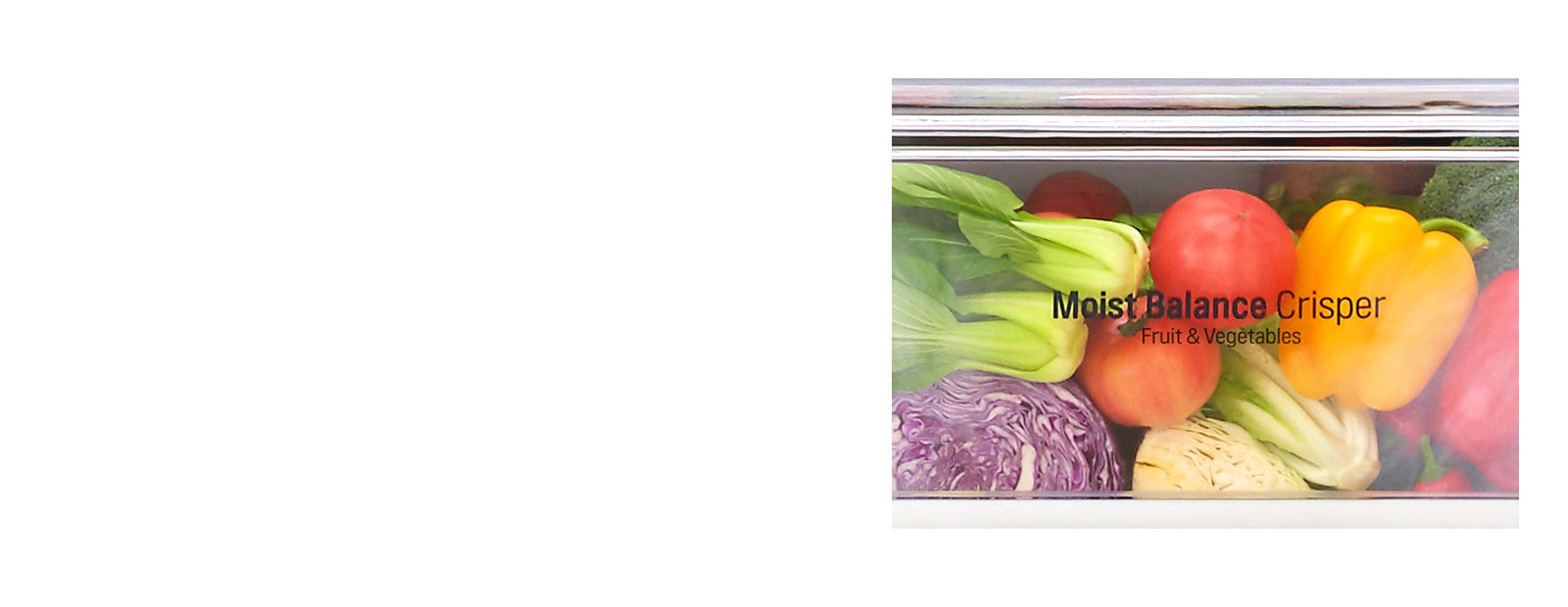 Moist Balance Crisper™1