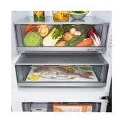 LG Hladnjak sa zamrzivačem u donjem dijelu, DoorCooling+™ i ThinQ™ tehnologija, kapacitet 465L, Otvorena lijeva vrata bez pogleda na hranu, GBBW322CPY, thumbnail 12