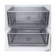 LG Hladnjak sa zamrzivačem u donjem dijelu, DoorCooling+™ i ThinQ™ tehnologija, kapacitet 375L, Ladica s hranom, GBBSJ20EPY, thumbnail 7
