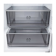 LG Hladnjak sa zamrzivačem u donjem dijelu, DoorCooling+™ i ThinQ™ tehnologija, kapacitet 375L, Ladica bez hrane, GBBSJ20DPY, thumbnail 6