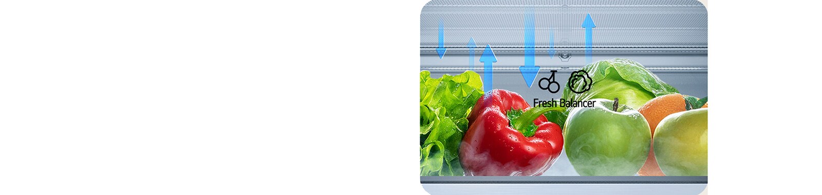 LG hladnjak s donjim zamrzivačem i ladicom FRESH Balancer™ koja prikazuje kretanje vlage.