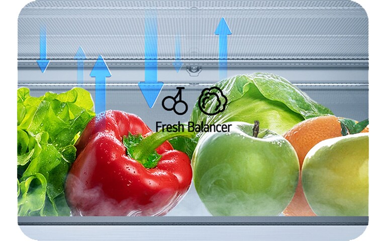 LG hladnjak s donjim zamrzivačem i ladicom FRESH Balancer™ koja prikazuje kretanje vlage.
