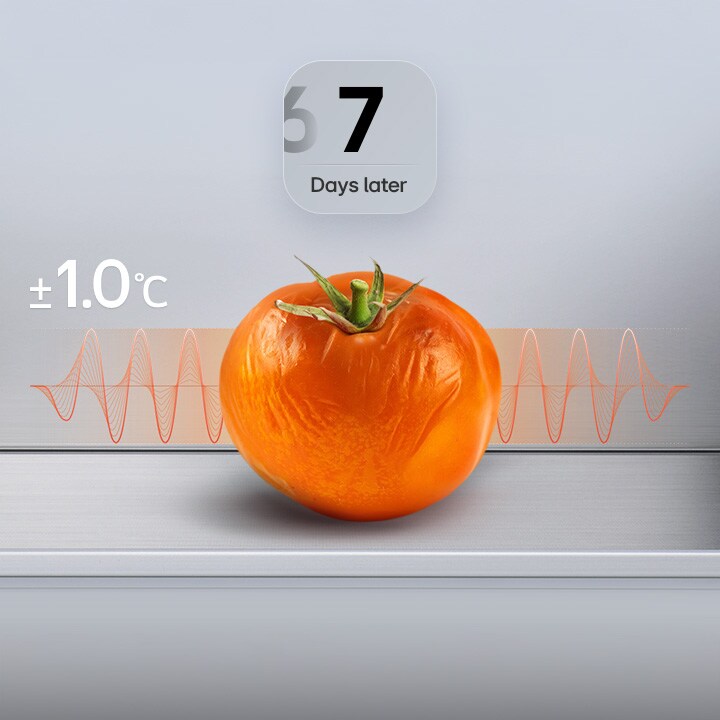 Grafikon LG hladnjaka sa zamrzivačem koji prikazuje uvenulu rajčicu nakon 7 dana s crvenim grafikonom fluktuacije i tekstom ±1,0 °C