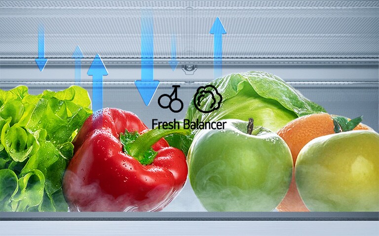 LG hladnjak s donjim zamrzivačem i ladicom FRESH Balancer™ koja prikazuje kretanje vlage.