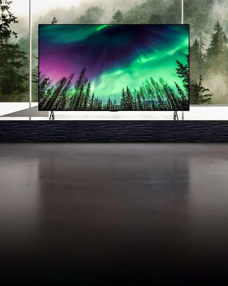 Kamera se poviče iz krupnog plana s gornje strane televizora prema dolje na krupni plan prednje strane televizora. Televizijski ekran prikazuje zelenu polarnu svjetlost. Kamera smanjuje prikaz da bi se vidjela vrlo široka dnevna soba. Dnevna soba je cijela sive i kroz prozor se vani vidi šuma.