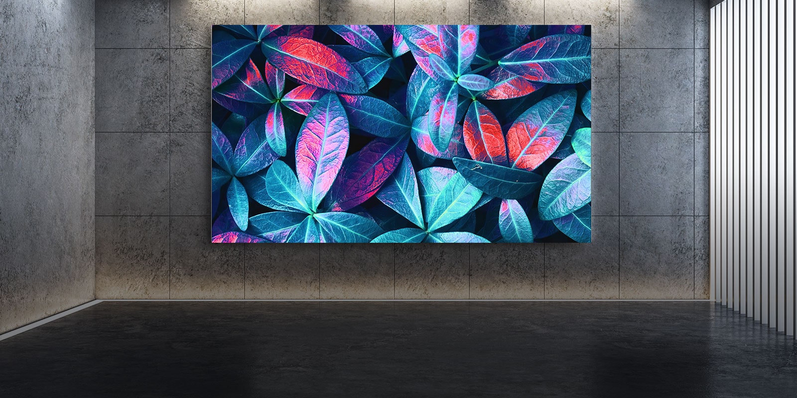 Televizor LG QNED MiniLED postavljen uz sivi zid. Na zaslonu se nalazi prikaz velikih biljnih listova izbliza u različitim nijansama zelene, plave i crvene boje.