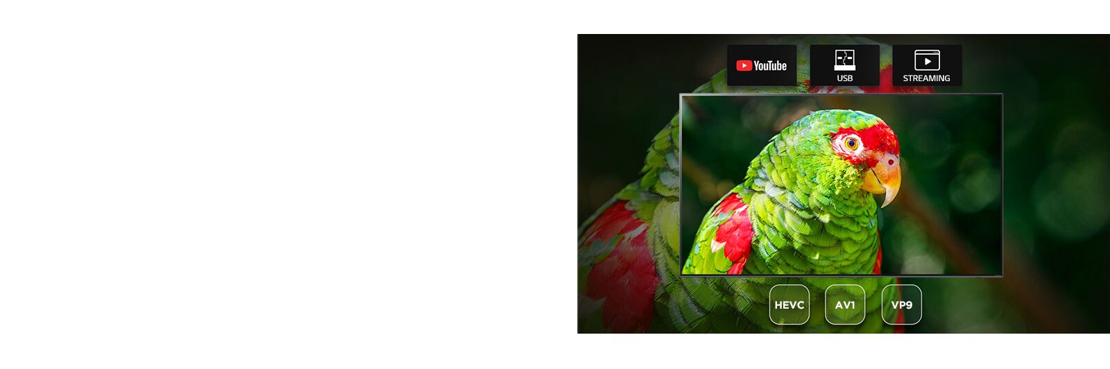 Zaslon televizora koji prikazuje dokumentarni film o zelenoj papigi s ikonama platforme YouTube, ikonama USB-a i ikonama servisa za streaming
