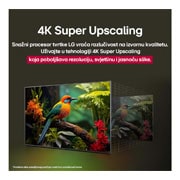 LG Televizor LG NanoCell AI NANO81 4K Smart TV 2025 od 50 inča , Usporedba prije i kasnije kako tehnologija LG 4K Super Upscaling poboljšava kvalitetu slike. Na dva zaslona prikazuje se slika šarene ptice koja sjedi na grani u šumi, desni panel je izblijedio. , 50NANO81A3A, thumbnail 6
