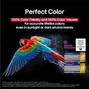 LG  LG OLED AI B5 4K Smart TV 2025 od 65 inča, Blještavi vatrometi jarkih boja prikazani su na zaslonu televizora. Ovo prikazuje vjerodostojnost boje od 100 % te istinske boje čak i na sunčevom svjetlu.  Vidljiv je i logotip certifikacije, tehnolo, OLED65B53LA, thumbnail 7