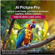 LG Televizor LG QNED evo AI QNED85 4K Smart TV 2025 od 86  inča, От пода нагоре се разпръскват пръски боя в различни цветове. Сертифициране от Intertrek за 100% Color Volume според DCI-P3. Заглавието разказва за новата и уникална технология на LG за широка цветова , 86QNED85A3C, thumbnail 7