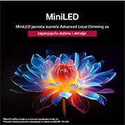 LG Televizor LG QNED evo AI QNED85 4K Smart TV 2025 od 86  inča, Папагал на клон на дърво в ярък цвят. В заглавието се разказва за това как LG Al Picture Pro е направила впечатляващи визуални подобрения на резолюцията, яркостта, дълбочината и яснотата на сцената., 86QNED85A3C, thumbnail 8