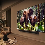LG Televizor LG QNED evo AI QNED85 4K Smart TV 2025 od 86  inča, 86QNED85A3C, thumbnail 11
