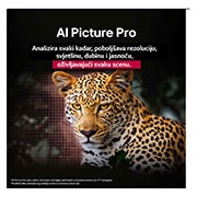 LG  LG OLED evo AI G5 4K Smart TV 2025 od 65 inča, Leopard u šumi prikazan u živopisnim bojama i pojedinostima. Na leopardu je mreža i svjetlo koje svijetli iza nje, označavajući kako značajka za poboljšanje kvalitete slike pomoću umjetne inteligencij, OLED65G53LS, thumbnail 9