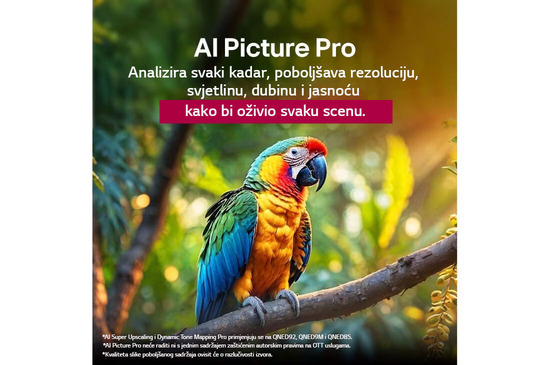 LG Televizor LG QNED evo AI QNED87 4K Smart TV 2025 od 50 inča, Papiga na grani stabla u šarenim bojama. Naslov upućuje kako značajka za poboljšanje kvalitete slike pomoću umjetne inteligencije LG AI Picture Pro omogućuje impresivno poboljšanje slike te rezoluciju, 50QNED87A3D, thumbnail 6