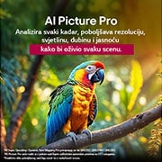 LG Televizor LG QNED evo AI QNED87 4K Smart TV 2025 od 50 inča, Papiga na grani stabla u šarenim bojama. Naslov upućuje kako značajka za poboljšanje kvalitete slike pomoću umjetne inteligencije LG AI Picture Pro omogućuje impresivno poboljšanje slike te rezoluciju, 50QNED87A3D, thumbnail 6