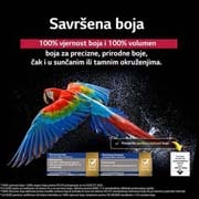 LG  LG OLED evo AI C5 4K Smart TV 2025 od 48 - inča, Blještavi vatrometi jarkih boja prikazani su na zaslonu televizora. Ovo prikazuje vjerodostojnost boje od 100 % te istinske boje čak i na sunčevom svjetlu.  Vidljiv je i logotip certifikacije, tehnolo, OLED48C51LA, thumbnail 7