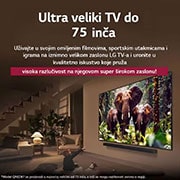 LG Televizor LG QNED evo AI QNED87 4K Smart TV 2025 od 65 inča, Na zaslon televizora LG QNED TV prikazuje se početna stranica operativnog sustava webOS 25 ispunjena aplikacijama i zabavnim sadržajem. Pored televizora nalazi se daljinski upravljač LG AI Magic Remot, 65QNED87A3B, thumbnail 8