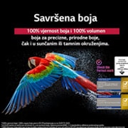 LG OLED evo AI C5E 4K Smart TV 2025 od 83 inča, Šarena papiga prikazana u super visokoj rezoluciji na crnoj pozadini. Kapljice vode lebde u zraku oko nje. Slika prikazuje savršenu boju, jer je svaka nijansa na tijelu papige živopisna i jasna. Vidlj, OLED83C5ELA, thumbnail 8