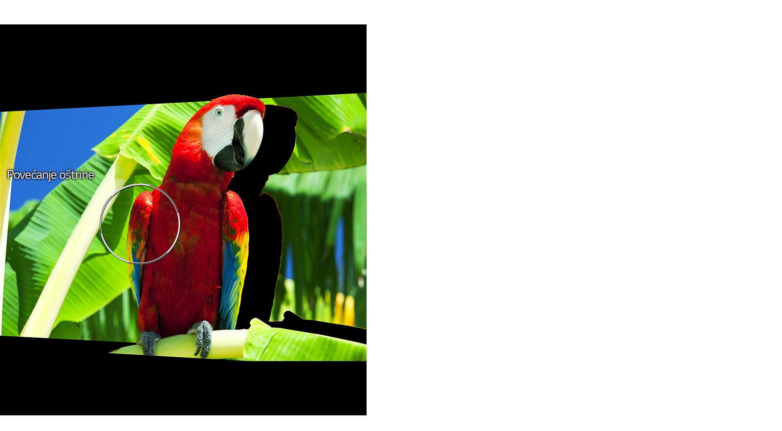 Povećanje oštrine na osnovi frekvencije1