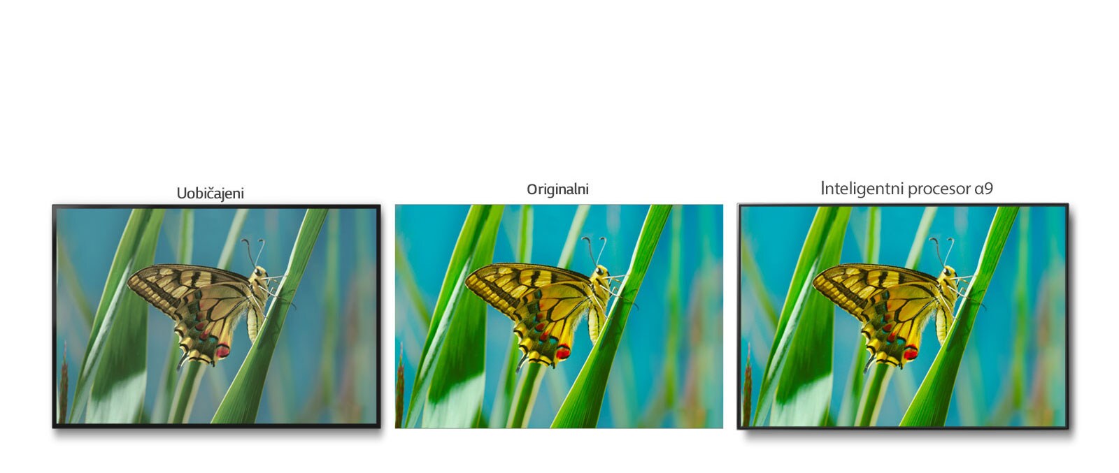 True Color Accuracy Pro1